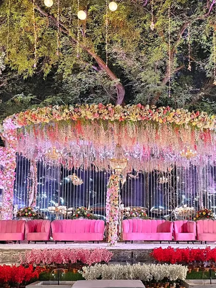 An evening shot of the floral stage, highlighting how the overhead lighting and hanging bulbs create a warm glow against the natural backdrop of the trees.