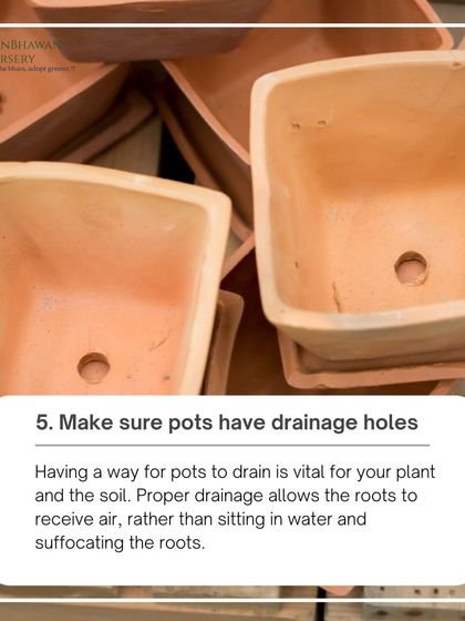 We can't stress this enough: make sure your pots have drainage holes. This collection of terracotta pots shows the simple feature that is vital for preventing waterlogged soil and root rot.