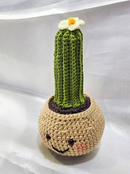 A full view of my adorable crochet cactus. The little flower on top and the sweet smiling face on the pot make it a cheerful addition to any desk or room.