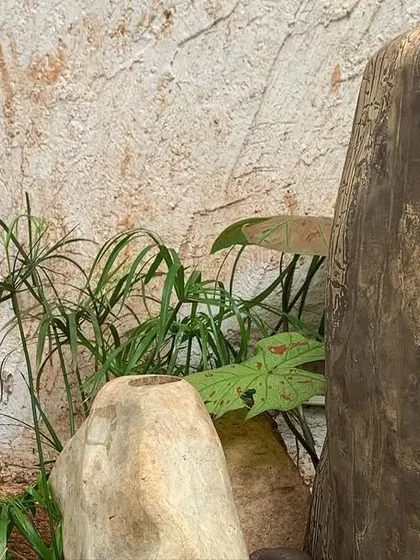 This close-up shows the beautiful, natural texture of a carved stone fountain. I carefully select materials that have character and will age gracefully in an outdoor setting.
