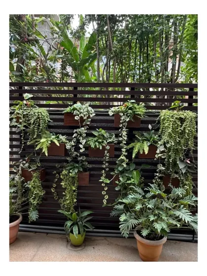 A vertical garden on a slatted wall at Chaithanya Samarpan. This is an effective way to introduce a dense layer of greenery in a compact space, adding texture and life to a previously bare wall.
