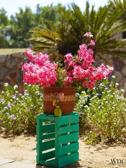 Wedding Decor Company - Wedding Event Design & Decor Radiant Haldi & Mehendi Celebrations photo 19