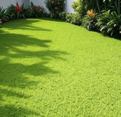 Garden & Lawn Designs photo 32