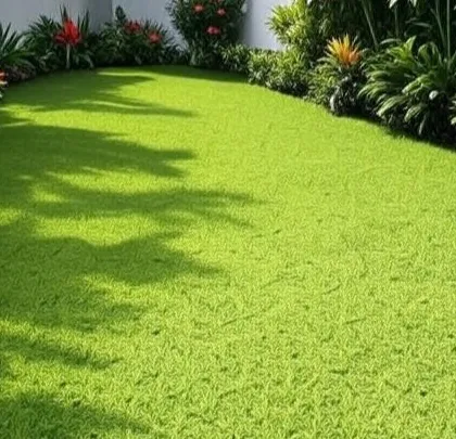 A close-up of a dense, healthy lawn surrounded by tropical foliage. This shows our expertise in selecting plants that thrive and create a lush, vibrant look.