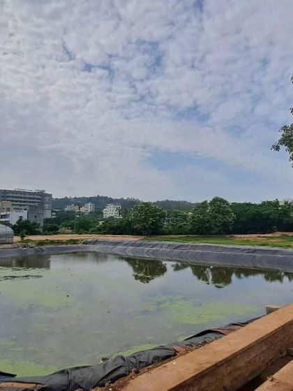 Sustainability is at the core of what we do. This is our rainwater harvesting pond at the farm, which helps us conserve water and use our natural resources responsibly.