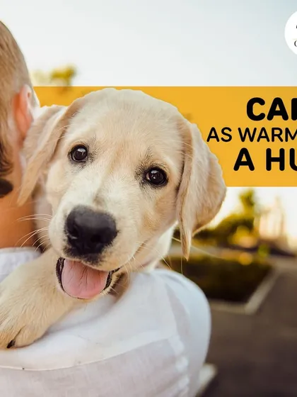 We believe pet care should feel as warm and comforting as a hug. This little one reminds us why we do what we do, creating products that ensure every pet is happy, healthy, and loved.