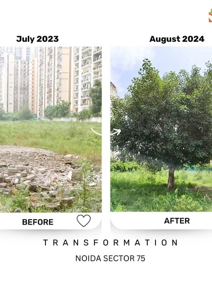 From rubble to roots. This spot in Noida Sector 75, once covered in construction debris, is now home to a healthy, growing tree. This shows that even the most neglected urban spaces can be revived.