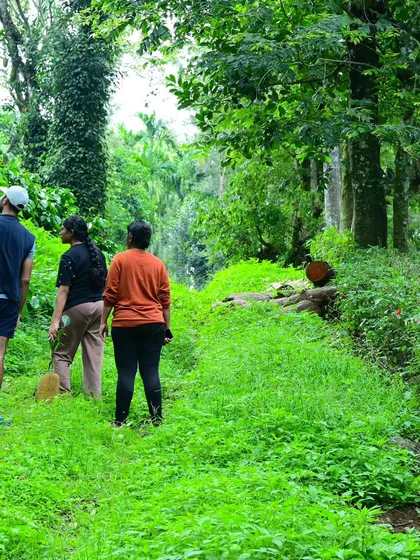Exploring the lush green trails around our homestay. We believe in immersing ourselves in the local nature and culture.