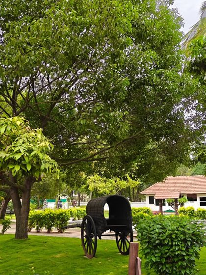 Another view of the antique bullock cart, set against the backdrop of our lush gardens and heritage buildings, blending history with the healing power of nature.