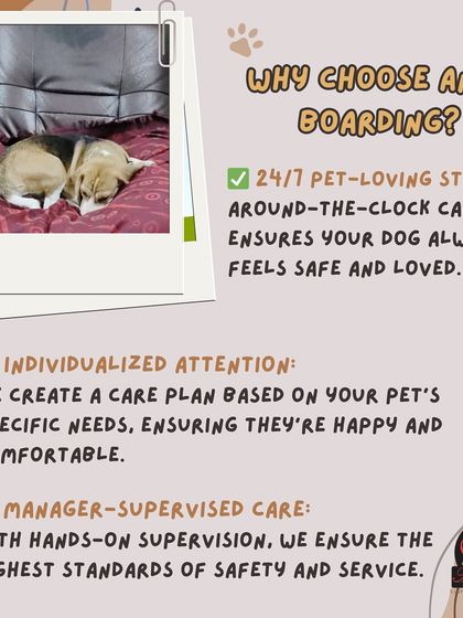 Anvis - Dog Boarding Helpful Tips for Pet Parents photo 3