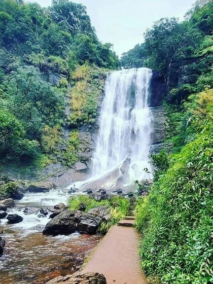 A beautiful view of a waterfall on the way to Kemmangundi, surrounded by the dense greenery of the coffee plantations.