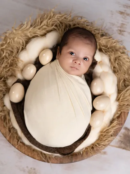 Surrounded by eggs in a cozy nest, this swaddled newborn looks on with curiosity. This is a sweet and creative take on the "new life" theme.