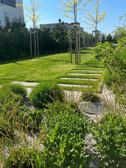 A view across a modern garden with a mix of gravel beds and lawn. The planting includes young trees, spherical shrubs, and various perennials, designed to mature into a lush but structured landscape.