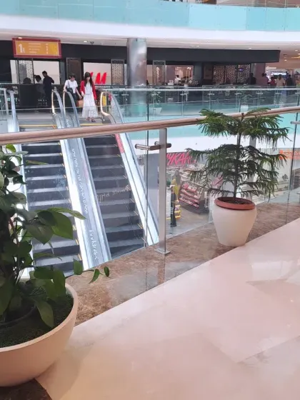 A large Pothos in a bowl planter adds a cascading green element to this mall's upper level. Its trailing vines create a sense of movement and organic beauty against the modern architecture.