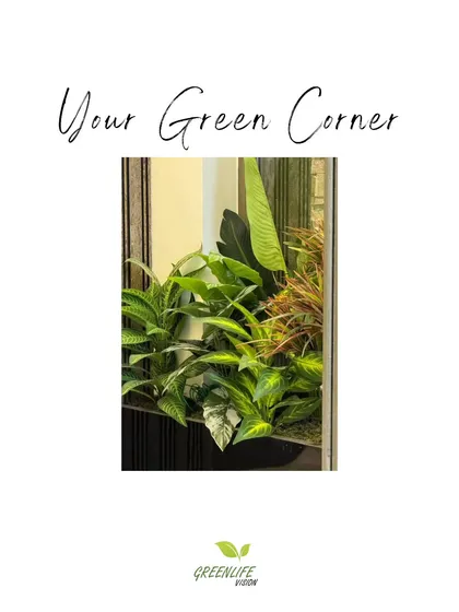This graphic encapsulates our philosophy: creating a personal green corner to serve as your own little sanctuary for peace and beauty.