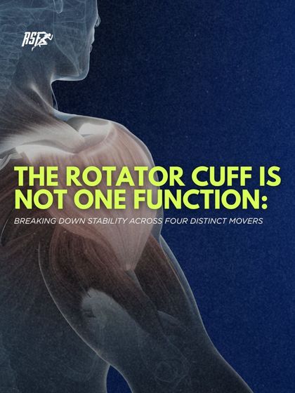 Shoulder Health & Rotator Cuff Function photo 8