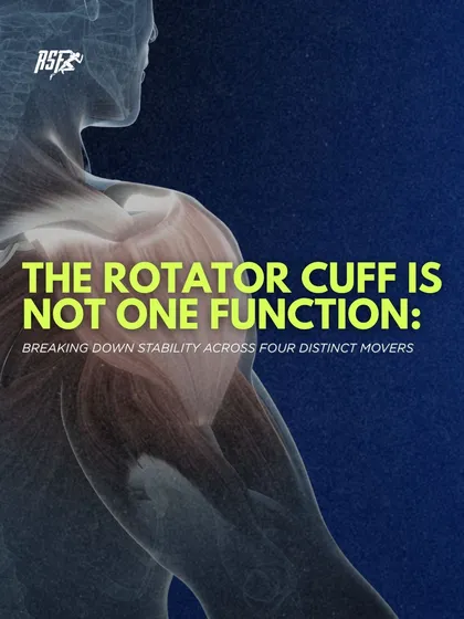The rotator cuff is not one function. This image introduces our deep dive into breaking down shoulder stability across the four distinct movers that make up the cuff.
