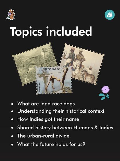 The Pack - Pet Parent Education & Workshops Awaara Nahi, Humara Hai: Community Dog Advocacy photo 8