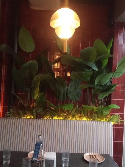 Green Solutions for Business Spaces photo 4