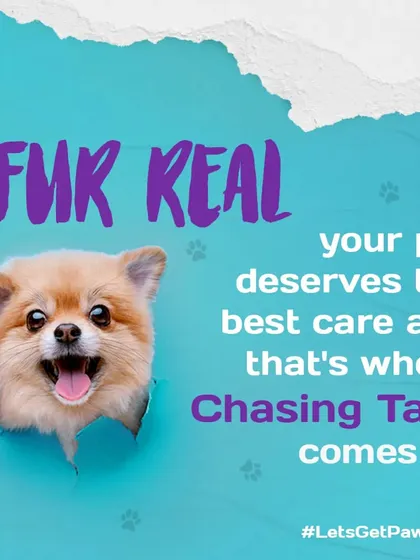 Fur real, your pet deserves the best. This is the simple idea my store is built on, providing everything you need to give your companion the best care possible.
