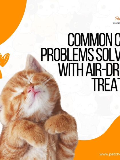 Our air-dried treats can help solve common cat problems. Omega-3 rich sardines reduce shedding, while high-protein chicken jerky is perfect for picky eaters.