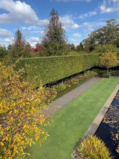 An elevated view of a formal garden in autumn. The design features a long, narrow pond, perfectly manicured lawns, and high, dense hedges that provide structure and privacy.