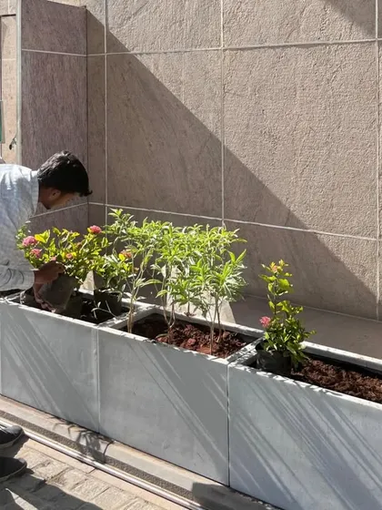 My team is hard at work filling the long rectangular planters with our specialized soil mix. This is a crucial step before we begin arranging the bamboo grass, monstera, and other plants selected for this project.