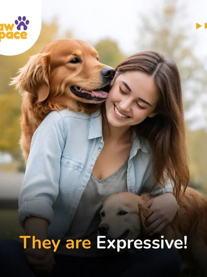 PawSpace - Pet Training The Human-Pet Connection photo 3