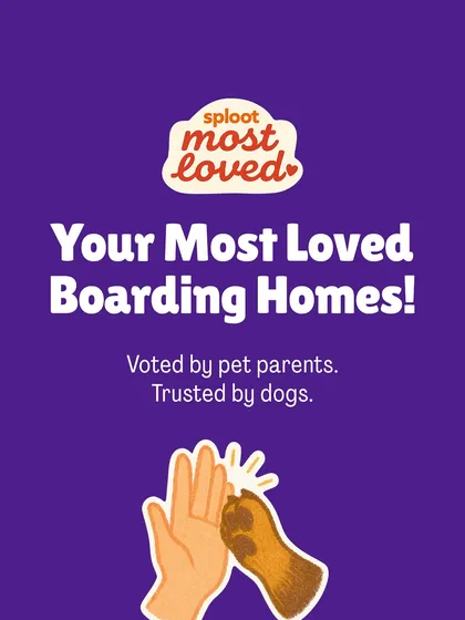 Trust is everything. This graphic highlights our 'Sploot Most Loved' initiative, where our entire list of boarding homes is voted for by real pet parents and trusted by dogs. We don't do paid ads, only community-curated recommendations.