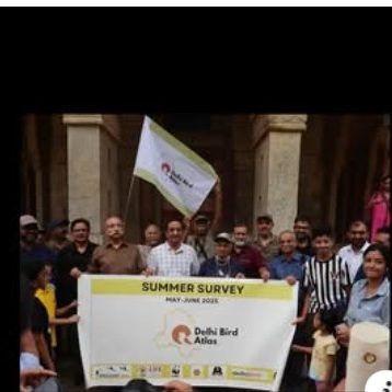 Moments From Our Walks photo 11