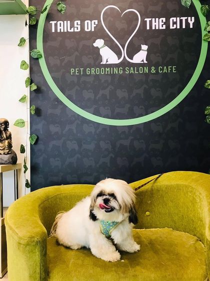 Tails of the City - Pet Spa & Creative Styling Our Happy Pack: Client Gallery photo 18