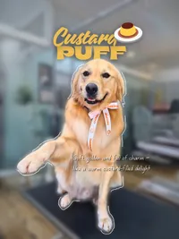 Pet Grooming Salon