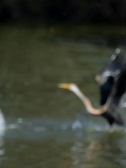 The Art of Seeing: Creative Compositions photo 26