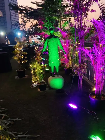 Our lighting can highlight specific features in a garden. Here, green and purple lights focus on plants and a statue, adding depth and character to the event decor.