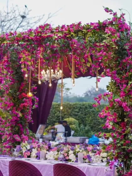 A romantic outdoor dining setup for an engagement. A massive arch of bougainvillea and other flowers frames the head table, which is draped in purple velvet and surrounded by elegant seating.