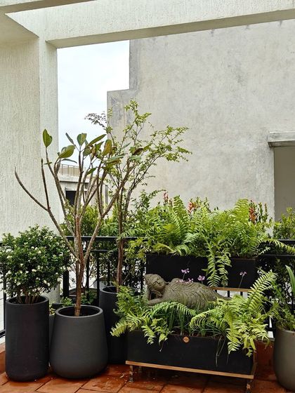 A balcony transformed into a lush escape. This client has expertly clustered our dark planters and a reclining Buddha statue to create a dense, layered green space that feels like a private jungle retreat.