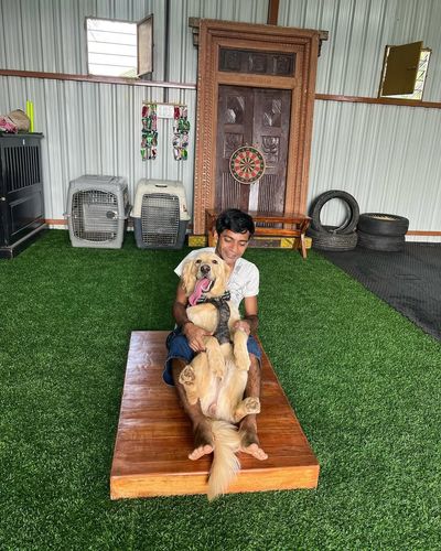 Dog Boarding