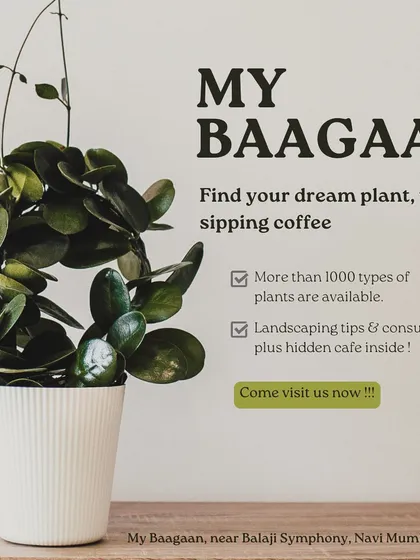 This is what My Baagaan is all about: finding your dream plant while sipping coffee. I offer a huge variety of plants and provide landscaping tips and consultations, all inside my hidden cafe.