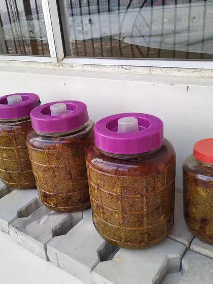 My pickles are cooked the traditional way, under the sun. These large jars of Aam ka Achaar will sit outside for months to cure naturally. This slow process develops a deep, complex flavour that you can't get any other way.
