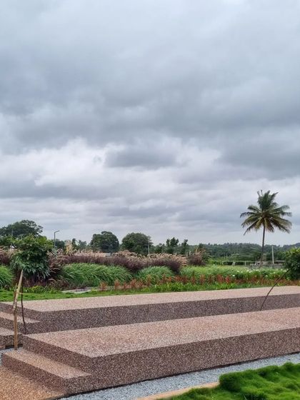 Stepped seating platforms made of aggregate concrete provide an informal amphitheater overlooking the landscape. These are set against a backdrop of purple and green ornamental grasses, which will grow to create a soft, textural screen.