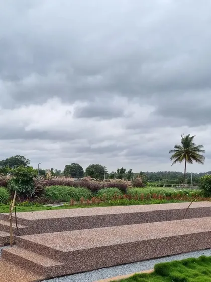 Stepped seating platforms made of aggregate concrete provide an informal amphitheater overlooking the landscape. These are set against a backdrop of purple and green ornamental grasses, which will grow to create a soft, textural screen.