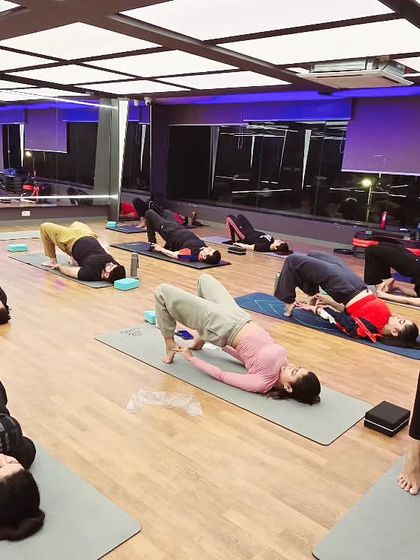 Deep Dive: Studio Asana & Technique photo 29