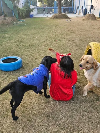 The best Christmas gift is a lap full of happy dogs. Our staff gets all the cuddles during the holidays.
