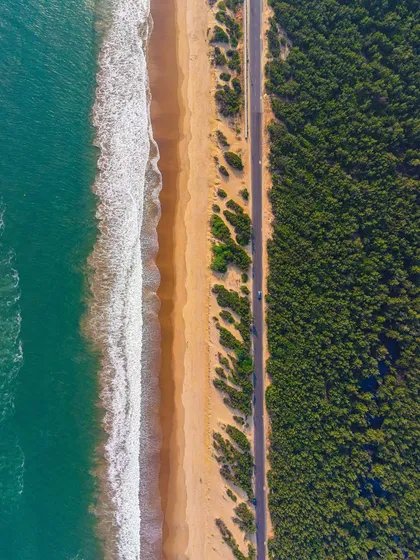 The link between man and nature. A stunning top-down view of a coastal road separating a dense green forest from a sandy beach and the turquoise sea.