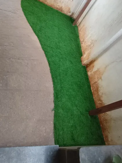 A to Z Gardening - Artificial Grass Installation Backyard & Garden Lawns photo 15