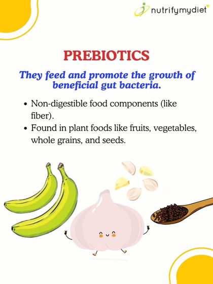 What Are Prebiotics? Prebiotics are a type of fiber that feeds the good bacteria in your gut. You can find them in everyday foods like bananas, garlic, onions, and whole grains.