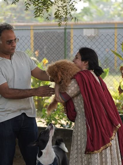 A couple enjoying playtime with their dogs at our facility. We love hosting events that bring the pet parent community together.