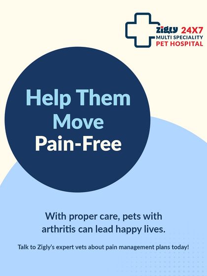 Zigly - Veterinary Services Specialized Care: Arthritis, Dental & Mobility photo 7