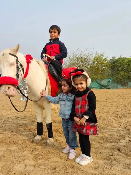 A festive Christmas ride for our little ones. We love making the holidays special with decorated horses and fun activities.