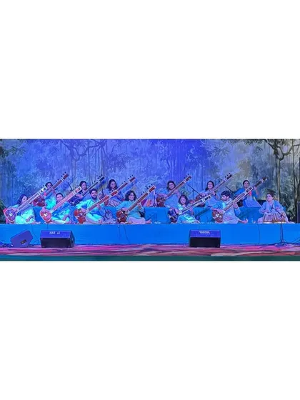 The Sitar Symphony on stage in Indore. The visual of so many sitars playing in unison is as powerful as the music itself.